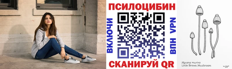 Псилоцибиновые грибы мицелий Железноводск